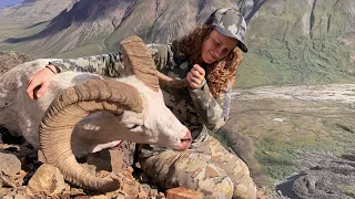 Giant Ram!!! Dall Sheep Hunt - Stuck N the Rut 136