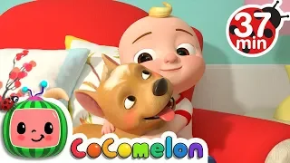 My Dog Song + More Nursery Rhymes & Kids Songs - CoComelon