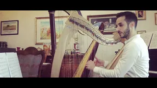 Gröne Lunden - Traditional Swedish Song (Fabio Rizza)