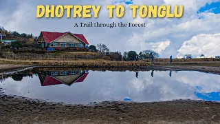 Dhotrey to Tonglu | A beautiful trail through the forest | Singalila National Park