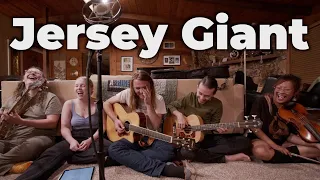 Jersey Giant - Tyler Childers (Earth Tones Cover)