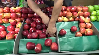 Apple Table tips