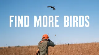 5 Tips For Finding More Birds Using onX Hunt