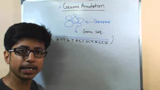 Genome annotation