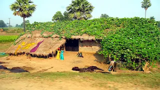 Village Life India Daily Routine || Uttar Pradesh Rural Life #village #farmerlife