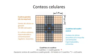 Cálculos de conteo celular en camara Neubauer