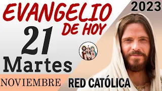 Evangelio de Hoy Martes 21 de Noviembre de 2023 | REFLEXIÓN | Red Catolica