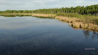 Подводные съёмки по дну прозрачного водоёма. Глубина 2 метра. Озеро Шейно.