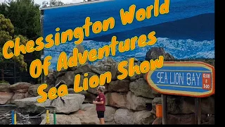 | Chessington World Of Adventures | Sea lion Live show | 2019 |