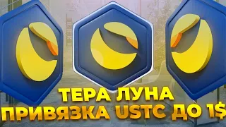 Разработчики Terra Luna Classic Готовятся К Привязке USTC 1$ - Цель LUNC 0.01$