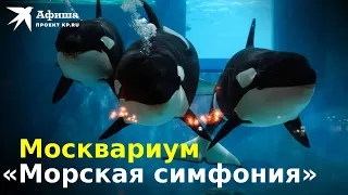 Мюзикл на воде «Морская симфония» | Москвариум на ВДНХ 2022