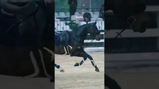 Sometimes i feel that some songs were made for equestrians🤧🥹|| #horse #edit #shorts