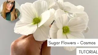 How to make sugar flowers - Cosmos tutorial