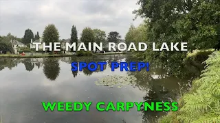 WEED FILLED MAIN ROAD LAKE - 5 YEAR OLD BAITS MY SPOT! #fishing #fishingforabite #carp #tench