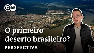 O imenso deserto que está nascendo no Brasil