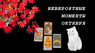 Невероятные моменты октября