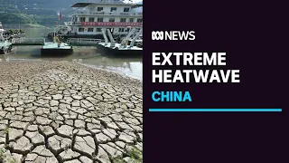 China suffers through its longest and hottest heatwave | ABC News