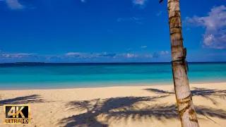 【アミラ・モルディブ 癒しビーチ】ターコイズブルーの海、波音＆リラクゼーションBGM｜Maldives beach ambience & relaxing sounds in 4K