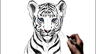 How To Draw A Tiger Cub | Step By Step