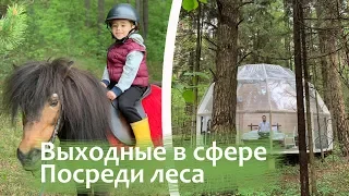 Выходные в прозрачной сфере посреди леса. Pine River Hotel - самый необычный отель рядом с Москвой