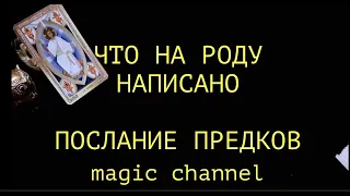 Что на РОДу написано Послание предков  `Magic channel Расклад Таро @TianaLive