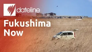 Fukushima - After The Disaster