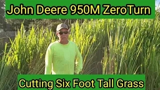 John Deere 950M Cuts 6 to 8 Foot-Tall Grass. John Deere 950M Commercial Zero Turn Mower Cut Review.