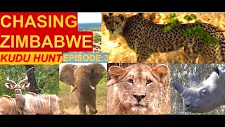 Chasing Zimbabwe | Episode 3