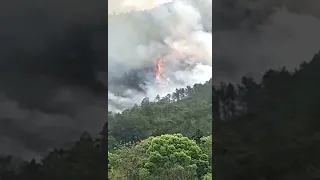 China Eastern Airline plane with 132 passengers crashed within Guangxi province