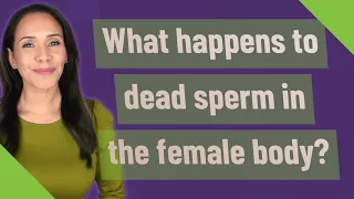 What happens to dead sperm in the female body?