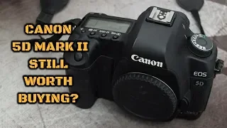 Canon EOS 5D Mark II: Still Worth Buying?