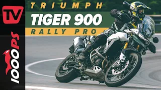Triumph Tiger 900 Rally Pro im großen Reise Enduro Vergleich 2020