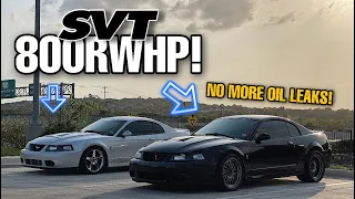 FIXING the last OIL LEAK on my TERMINATOR SVT COBRA & you won’t believe what we FOUND! *shocking