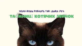 Таємниці котячих звичок: чому вони роблять такі дивні речі?