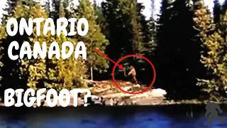 Bigfoot / Sasquatch captured on camera by boaters in Ontario Canada