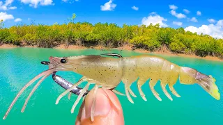 The EASIEST Way To Catch Fish! (In Saltwater Creeks)