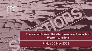 The war in Ukraine: The effectiveness and impacts of Western sanctions