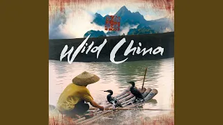 Wild China Theme (feat. The BBC Concert Orchestra and the UK Chinese Ensemble)