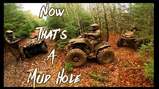 🤣Messing with the wrong Mud Hole🤣
