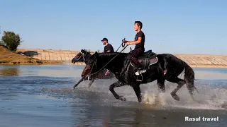 Поездка на лошадях - Дагестан #лошади #кони #увлечение