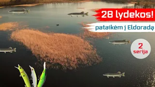 28 lydekos per 2 dienas - 2 DALIS. Žvejyba spiningu 2022 pavasarį. Pašėlęs lydekų kibimas.