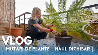 VlOG | Haul Dichisar | Inventar plante | Balconit si gradinarit |