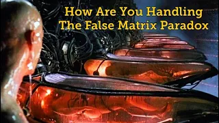How Are You Handling This False Matrix Paradox