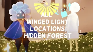 All Winged Light Locations Hidden Forest | Beginners Guide | Sky Children of the Light