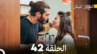 مسلسل الطائر المبكر الحلقة 42 (Arabic Dubbed)