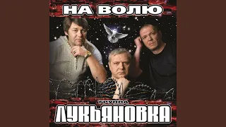 Посылка с воли