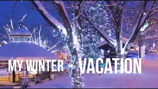 Winter vacation. Winter holiday. Essay