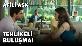 Ayşe'den Özür Diledi! - Afili Aşk 4. Bölüm