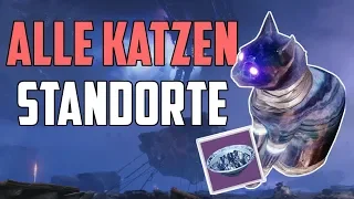 Destiny 2 Forsaken : Alle versteckten Katzen - Standorte 👣 | Ein kleines Geschenk