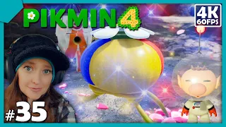 🌻 Pikmin 4 #35 - Shipwreck Tale: Part 4